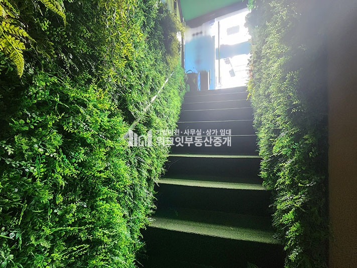 서울 서대문구 연희동 연희동 대로변 체육시설 임대 월세 매물번호 16010 사진 14